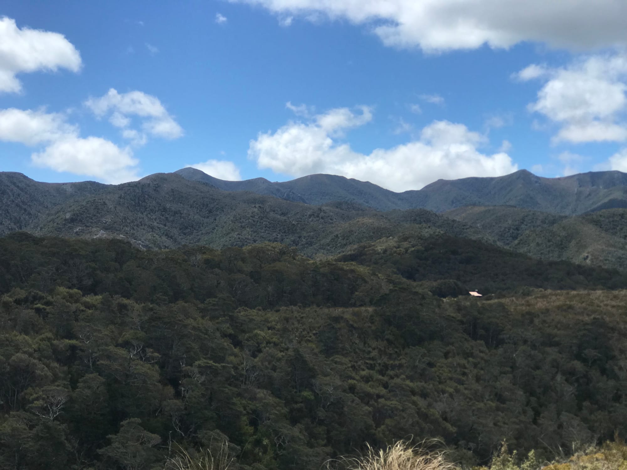 View from the highest point of elevation